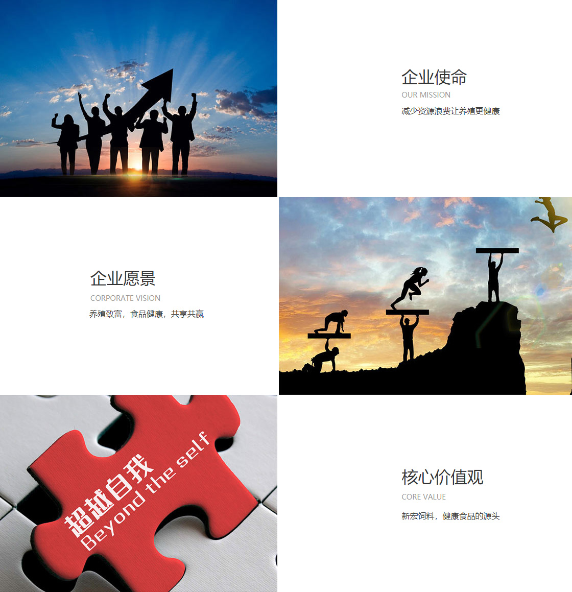 竞技宝JJB中国官方网站(图1)